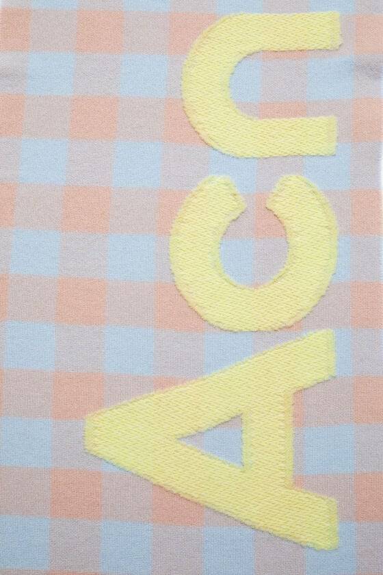 Acne Studios Karierter Schal mit Logo Sonderangebot der Fabrik