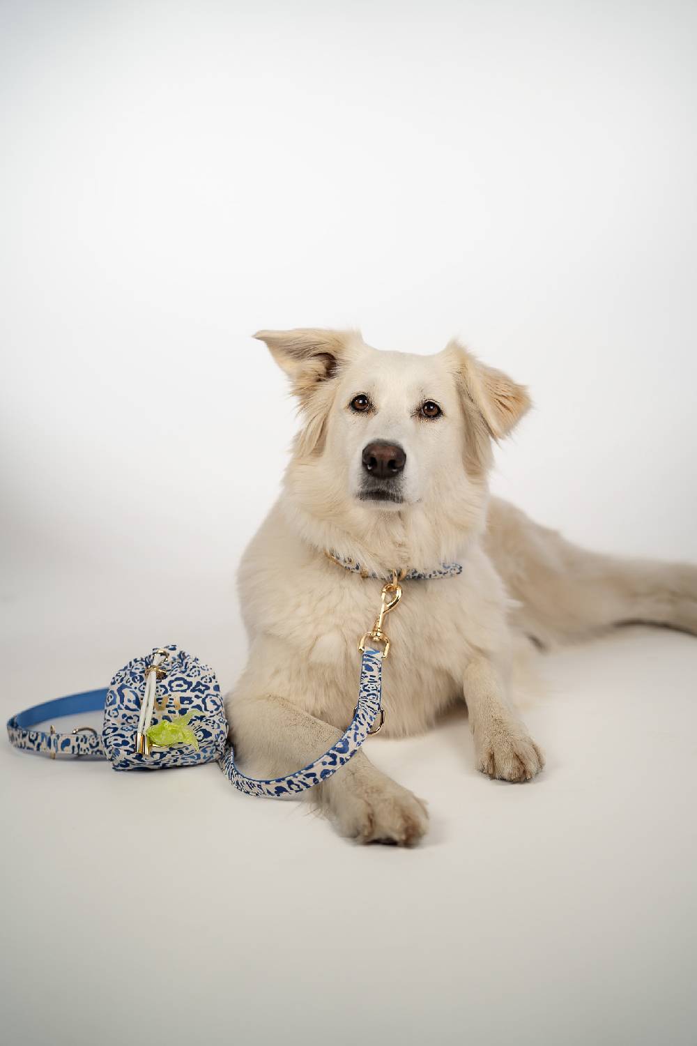 IVI GmbH BLUE LEO Halsband Vatertagsangebot