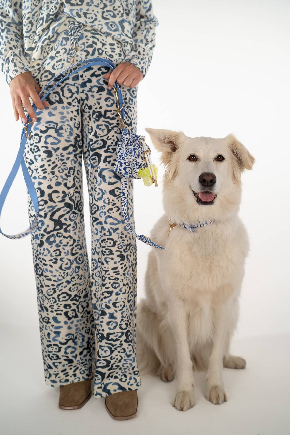 IVI GmbH BLUE LEO Hundeleine Valentinstagsangebot