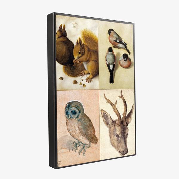 Musearta Albrecht Dürer - Tiermotive - Geschenkset Speichern exportieren