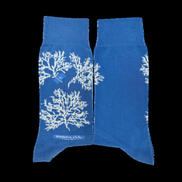 Musearta New York Library - Anna Atkins - Delesseria Alata Sonderangebot der Fabrik