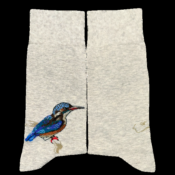 Musearta John Ruskin – Kingfisher 2025
