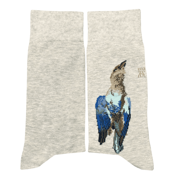 Musearta Albrecht Dürer - Tote Blauracke Lagerräumung