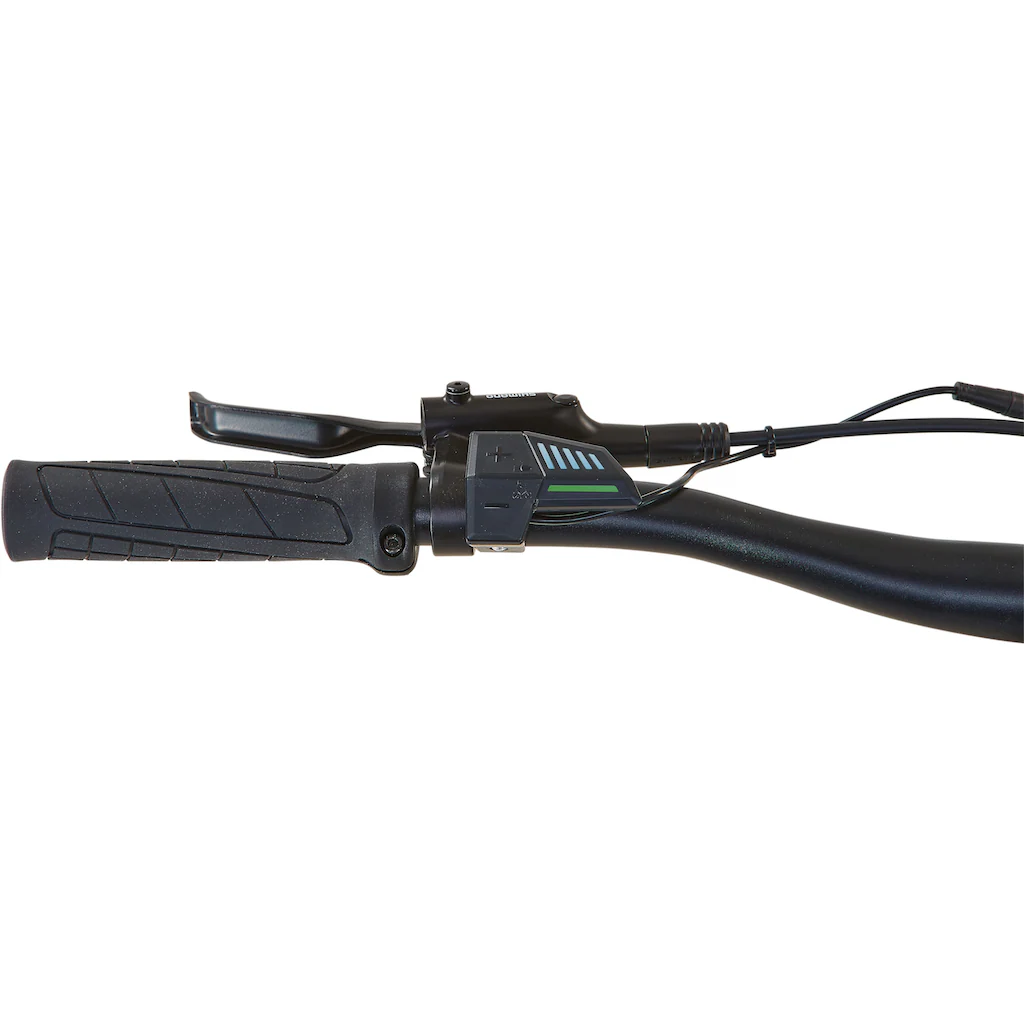 Prophete E-Bike »Dice 1.0« 8 Gang Shimano Altus Heckmotor 250 W VIP-Rabatte