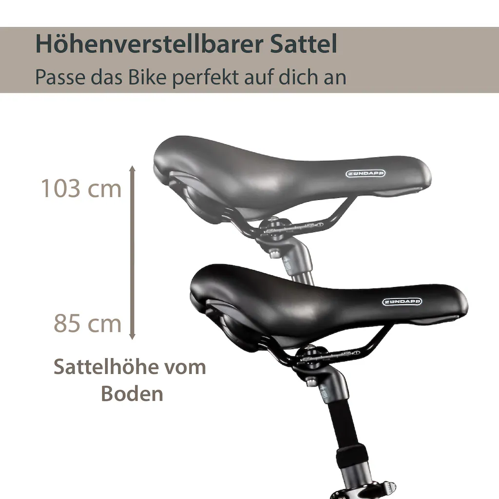 AGON E-Bike »Aurora« 3 Gang Frontmotor 250 W Pedelec Elektrofahrrad für Damen u. Herren Cityrad Tiefpreis