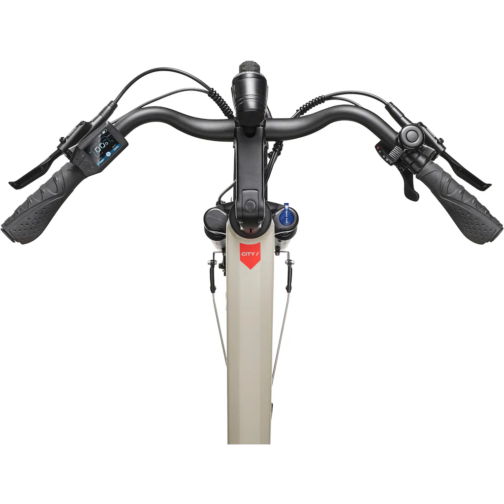 Telefunken E-Bike »Multitalent RC680« 10 Gang Shimano Mittelmotor 250 W (28 Zoll Straßenzulassung Scheibenbremsen) Pedelec Elektrofahrrad für Damen u. Herren Cityrad Nur noch ein Tag übrig
