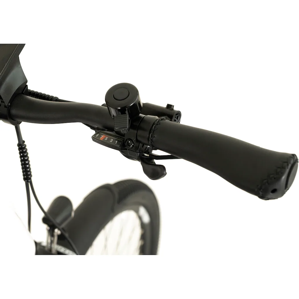 TOTEM E-Bike »DLT-40« 9 Gang Shimano Altus Mittelmotor 250 W Pedelec Elektrofahrrad für Herren auf Raten Fabrikverkauf