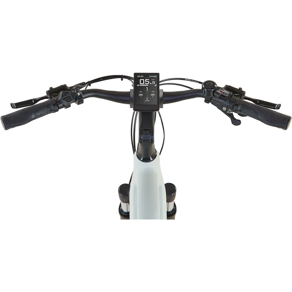 Prophete E-Bike »Entdecker 5.0« 10 Gang Shimano Deore Mittelmotor 250 W Kostenlose Rückgabe