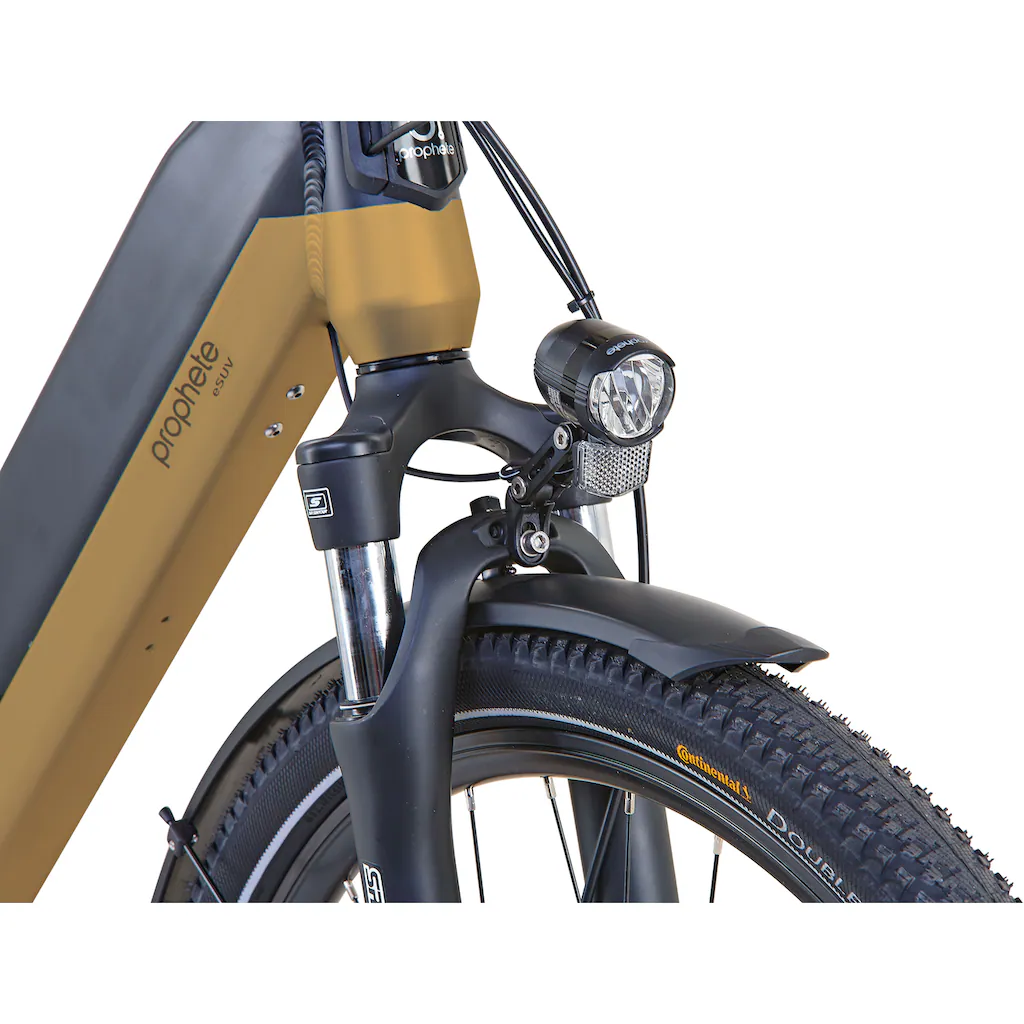 Prophete E-Bike »Entdecker InsideTwo« 10 Gang Shimano Deore Mittelmotor 250 W Pedelec Elektrofahrrad für Damen u. Herren Trekkingrad auf Raten Letzte 3 Tage