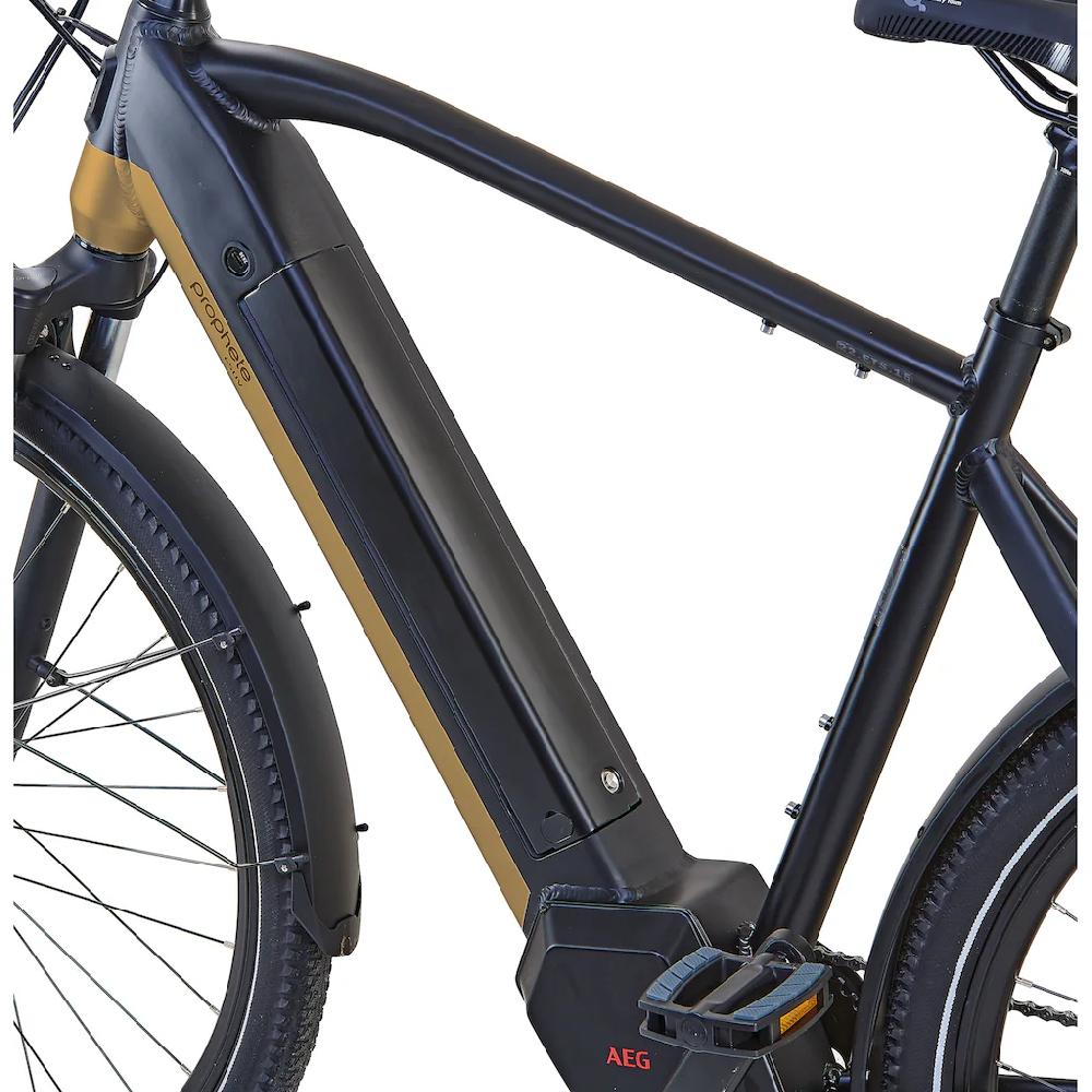 Prophete E-Bike »Entdecker InsideTwo« 10 Gang Shimano Deore Mittelmotor 250 W Pedelec Elektrofahrrad für Damen u. Herren Trekkingrad auf Raten Letzte 3 Tage