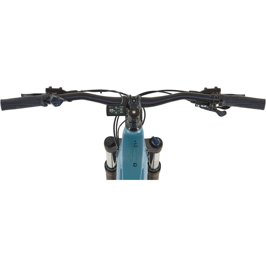 Prophete E-Bike »Dice 4.0« 10 Gang Shimano Cues Mittelmotor 250 W Letzte 2 Tage