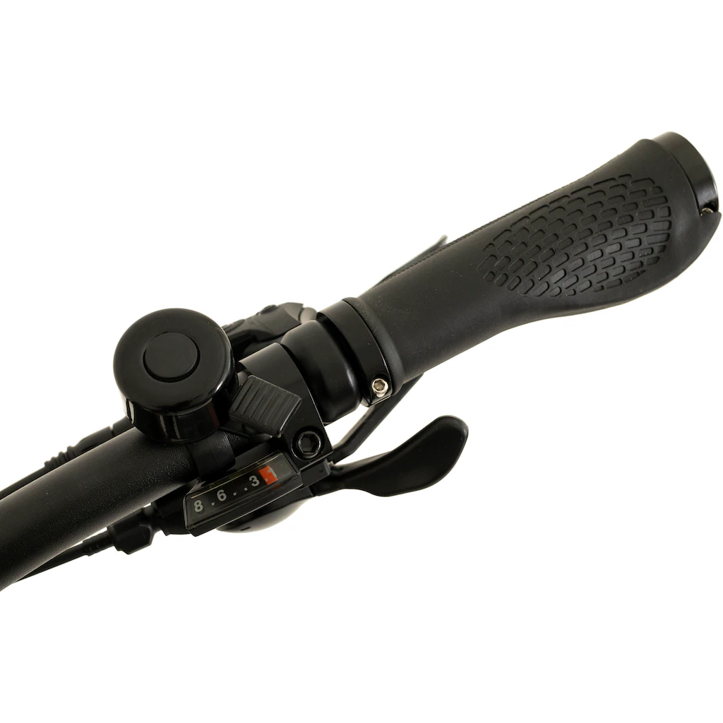 TOTEM E-Bike »FJ-M« 8 Gang Shimano Tourney Mittelmotor 250 W Pedelec Elektrofahrrad für Damen u. Herren MTB Mountainbike auf Rechnung Super Rabatt