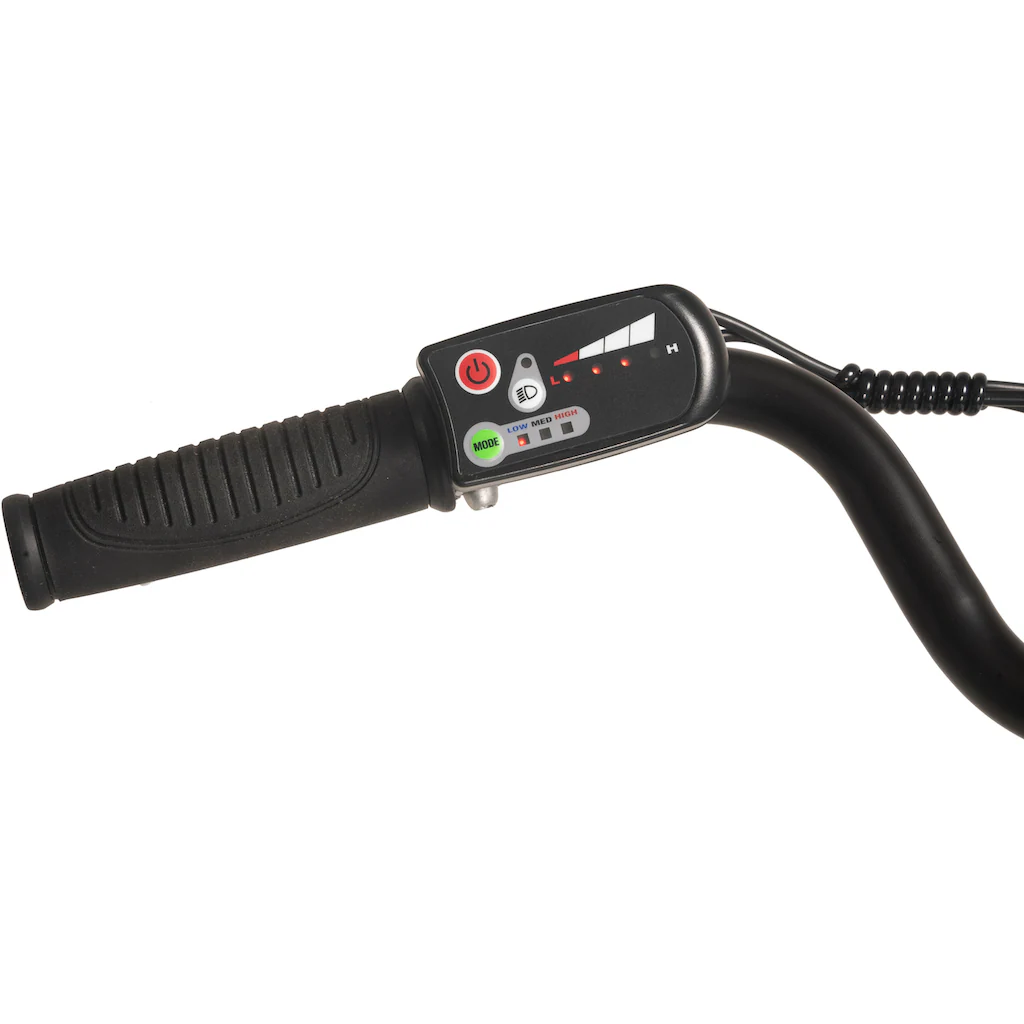 Hollandia E-Bike »Lido« 7 Gang Shimano Tourney Frontmotor 250 W 2025