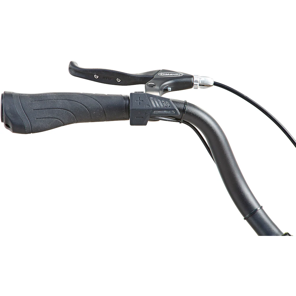 Prophete E-Bike »Geniesser 1.0« 3 Gang Shimano Nexus Frontmotor 250 W Pedelec Elektrofahrrad für Damen u. Herren Cityrad Günstig kaufen