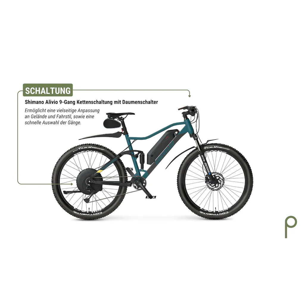 Prophete E-Bike »Graveler« 9 Gang Shimano Alivio Heckmotor 250 W Pedelec Elektrofahrrad für Damen u. Herren MTB Mountainbike Exklusivangebot