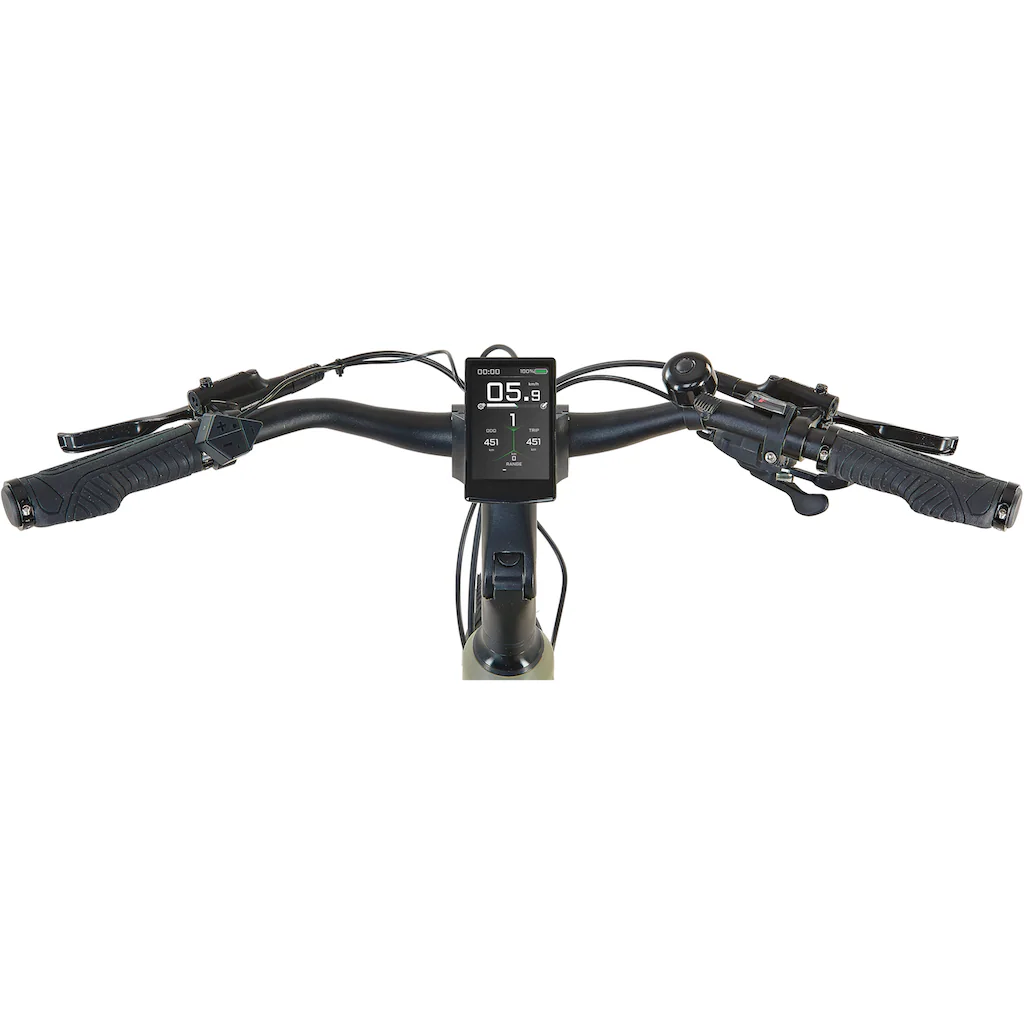 Prophete E-Bike »Entdecker 4.0« 10 Gang microSHIFT RD-M61S Mittelmotor 250 W Pedelec Elektrofahrrad für Damen Trekkingrad auf Rechnung kaufen Valentinstagsangebot