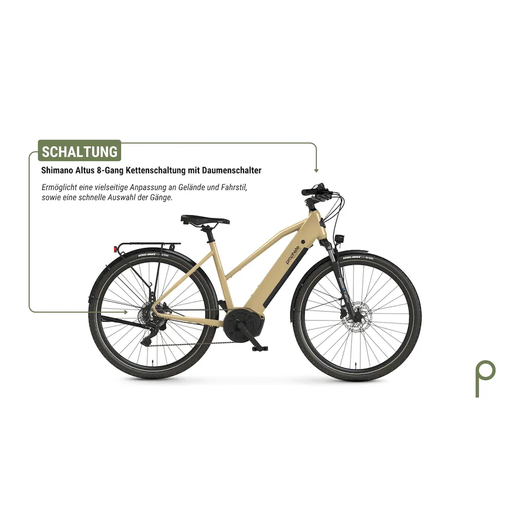Prophete E-Bike »Entdecker 3.4« 8 Gang Shimano Mittelmotor 250 W Pedelec Elektrofahrrad für Damen Trekkingrad auf Rechnung bestellen Riesige Ersparnisse
