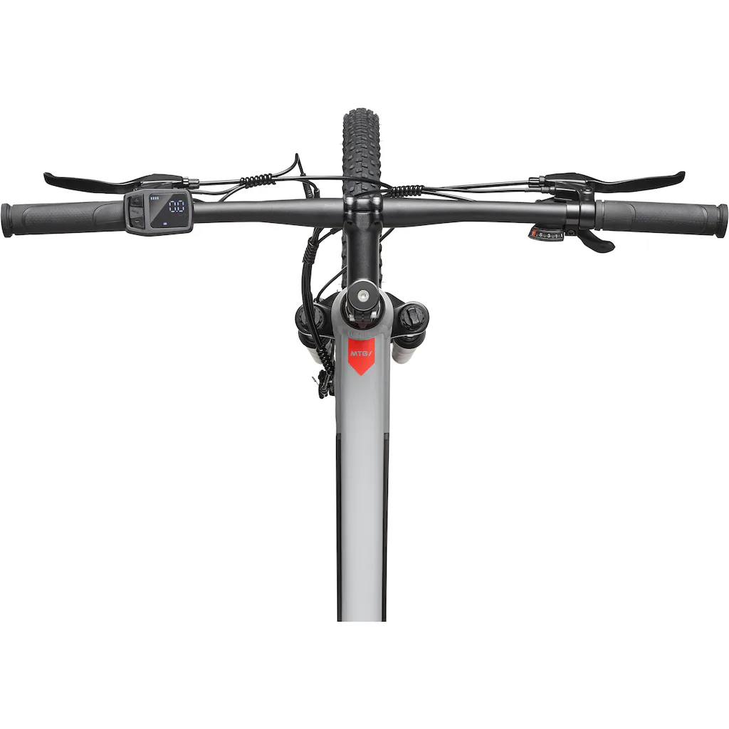 Telefunken E-Bike »Aufsteiger M921« 7 Gang Shimano Heckmotor 250 W (29 Zoll Scheibenbremsen) Pedelec Elektrofahrrad für Damen u. Herren MTB Mountainbike auf Raten Tiefpreis