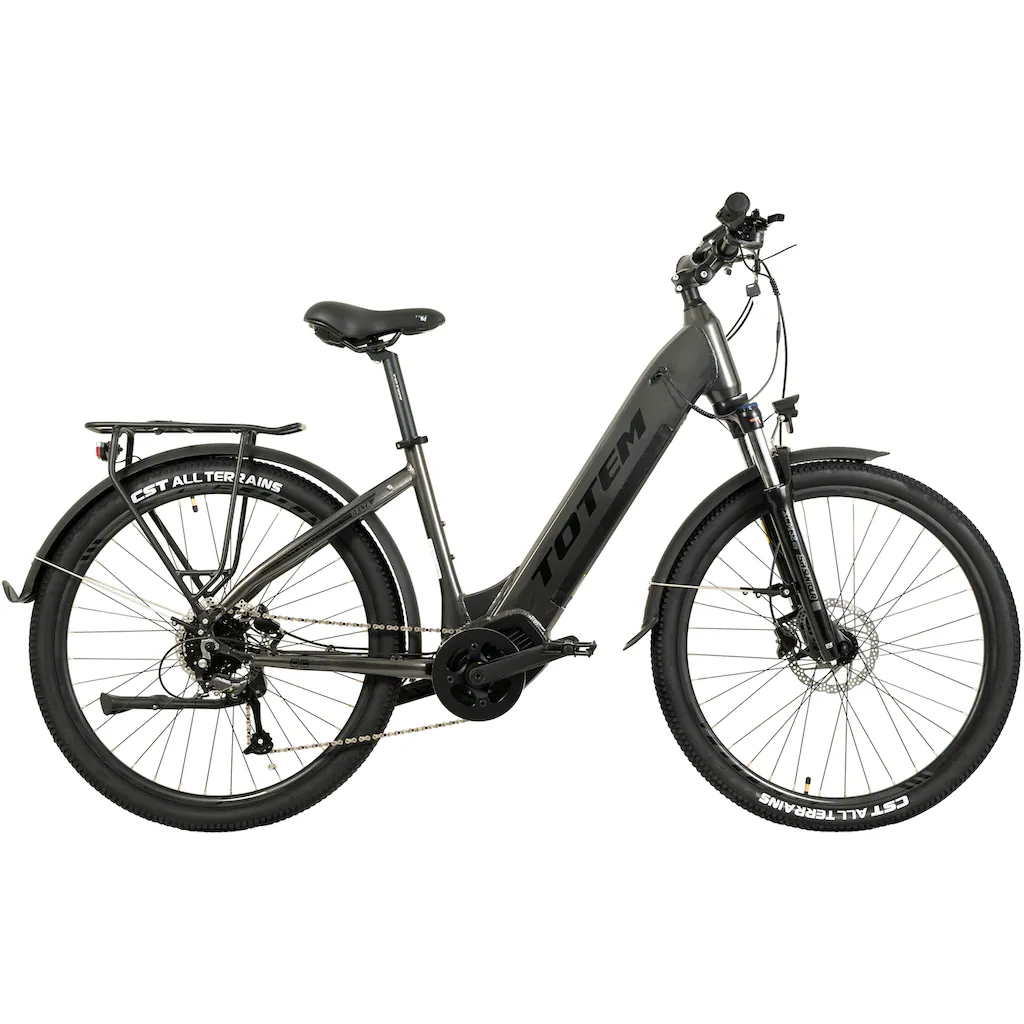 TOTEM E-Bike »DLT-40« 9 Gang Shimano Altus Mittelmotor 250 W Pedelec Elektrofahrrad für Herren auf Rechnung online kaufen Wochenangebot