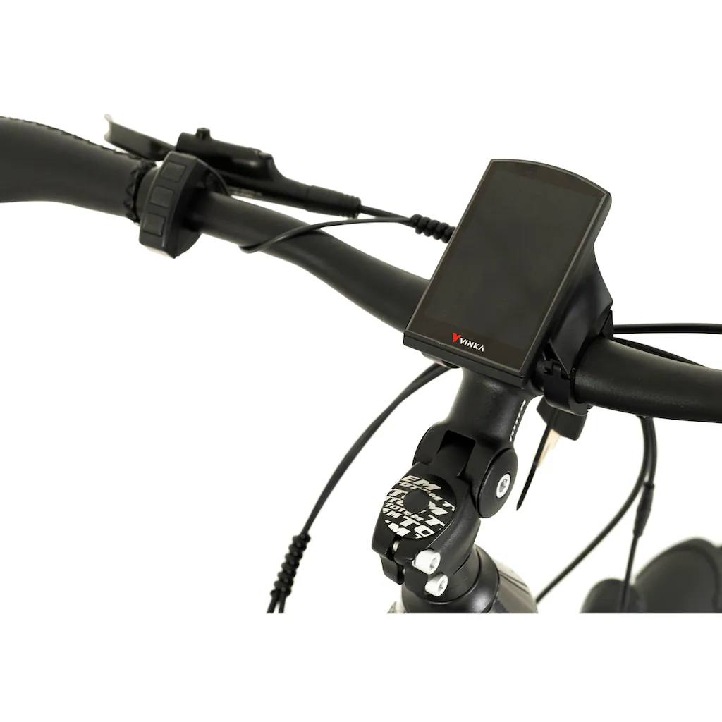 TOTEM E-Bike »DLT-40« 9 Gang Shimano Altus Mittelmotor 250 W Pedelec Elektrofahrrad für Herren auf Rechnung online kaufen Wochenangebot