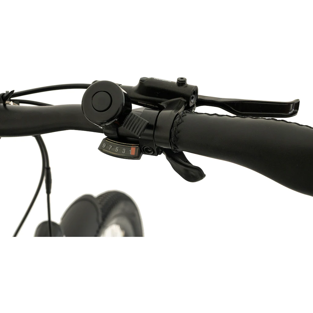 TOTEM E-Bike »DLT-40« 9 Gang Shimano Altus Mittelmotor 250 W Pedelec Elektrofahrrad für Herren auf Rechnung online kaufen Wochenangebot