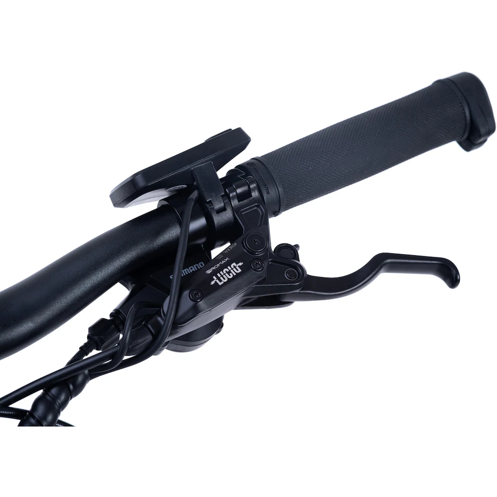 Adore E-Bike »Enforce« 24 Gang Shimano Acera Heckmotor 250 W Pedelec Elektrofahrrad für Damen u. Herren MTB Mountainbike auf Rechnung bestellen Bis zu 50% Rabatt
