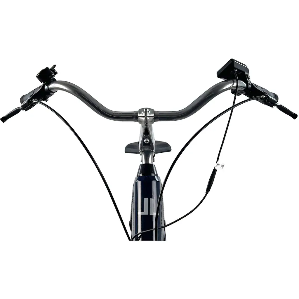LLobe E-Bike »City E-Bike 28" Millenium 2G« Heckmotor 250 W auf Raten Nur für heute
