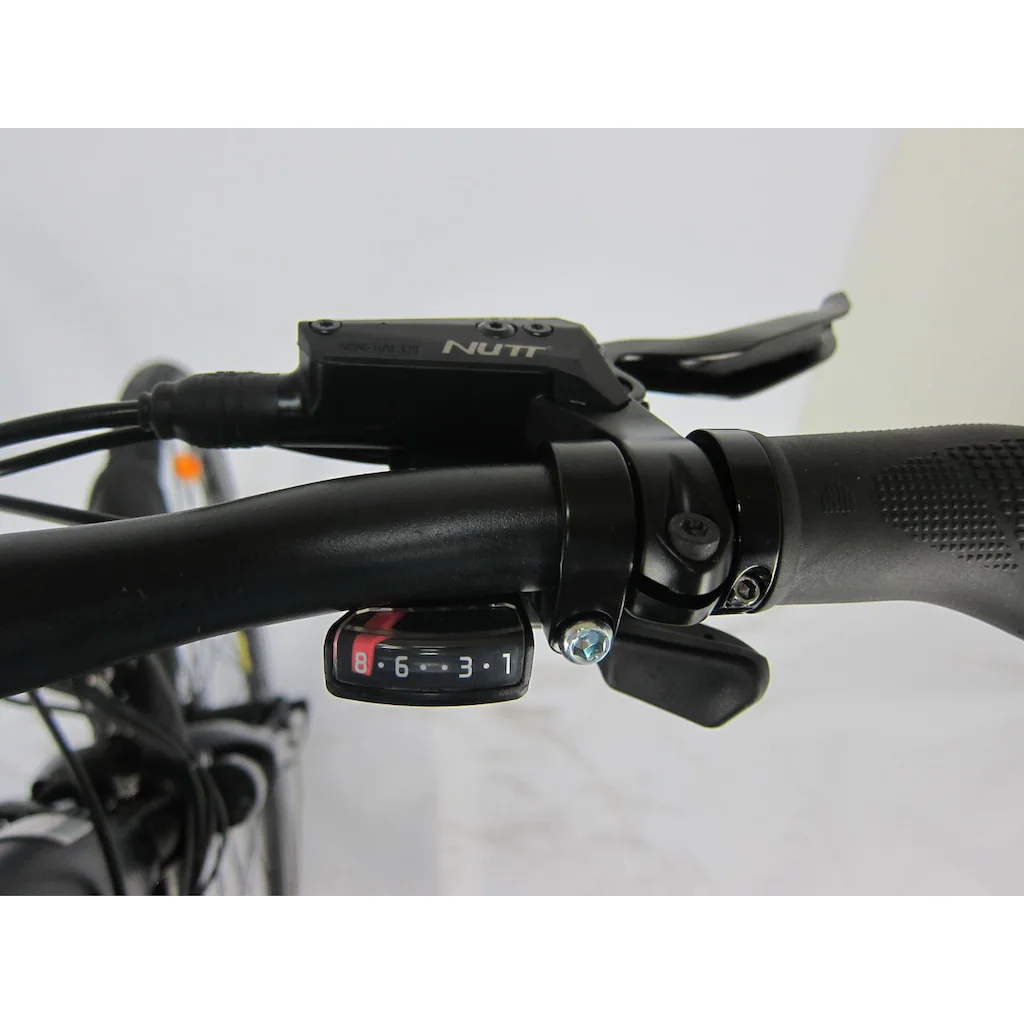 Maxtron E-Bike »MT 12« 8 Gang Shimano Altus Heckmotor 250 W Pedelec Elektrofahrrad für Damen u. Herren Trekkingrad auf Rechnung bestellen Günstiger Verkauf