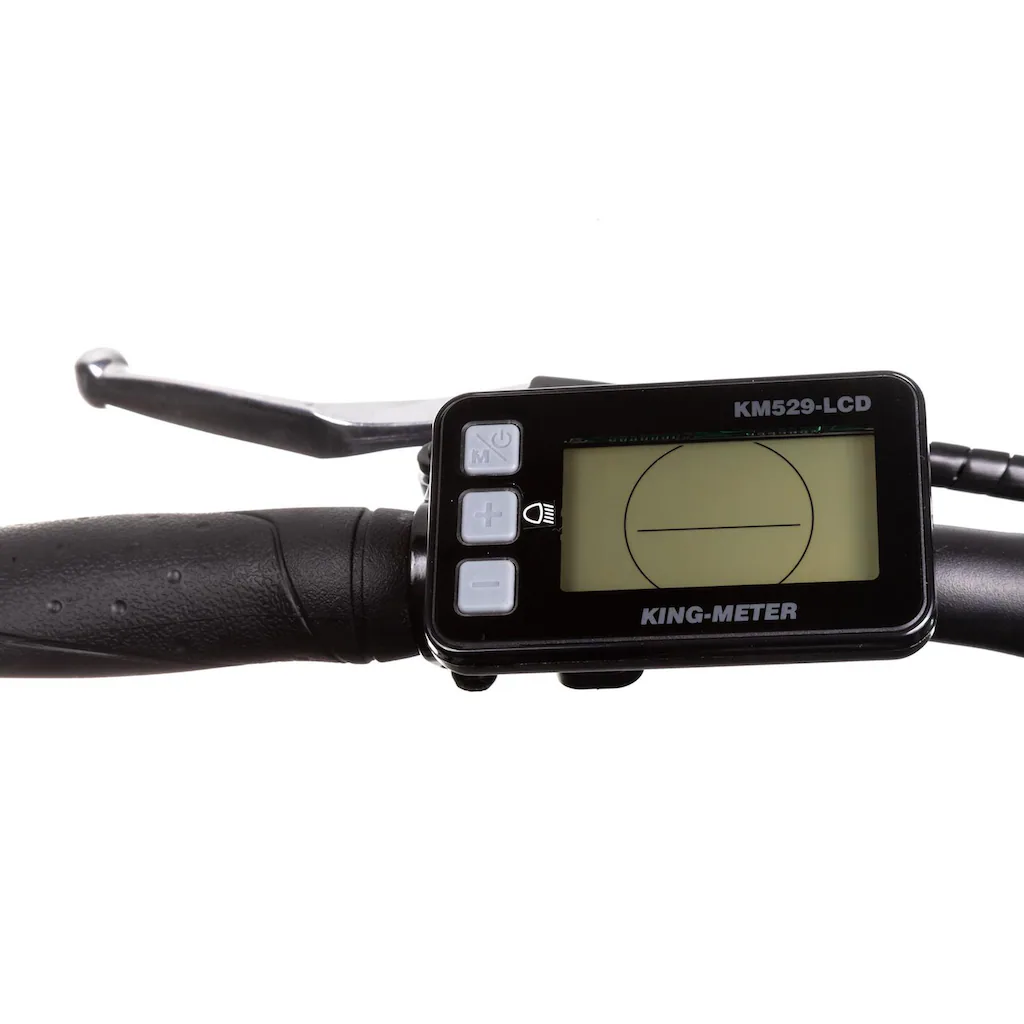 Maxtron E-Bike »MT 12« 8 Gang Shimano Altus Heckmotor 250 W Pedelec Elektrofahrrad für Damen u. Herren Trekkingrad auf Rechnung bestellen Günstiger Verkauf