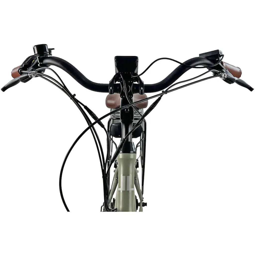 LLobe E-Bike »City E-Bike 28" County grün« Shimano Altus Heckmotor 250 W auf Rechnung Blitzverkäufe