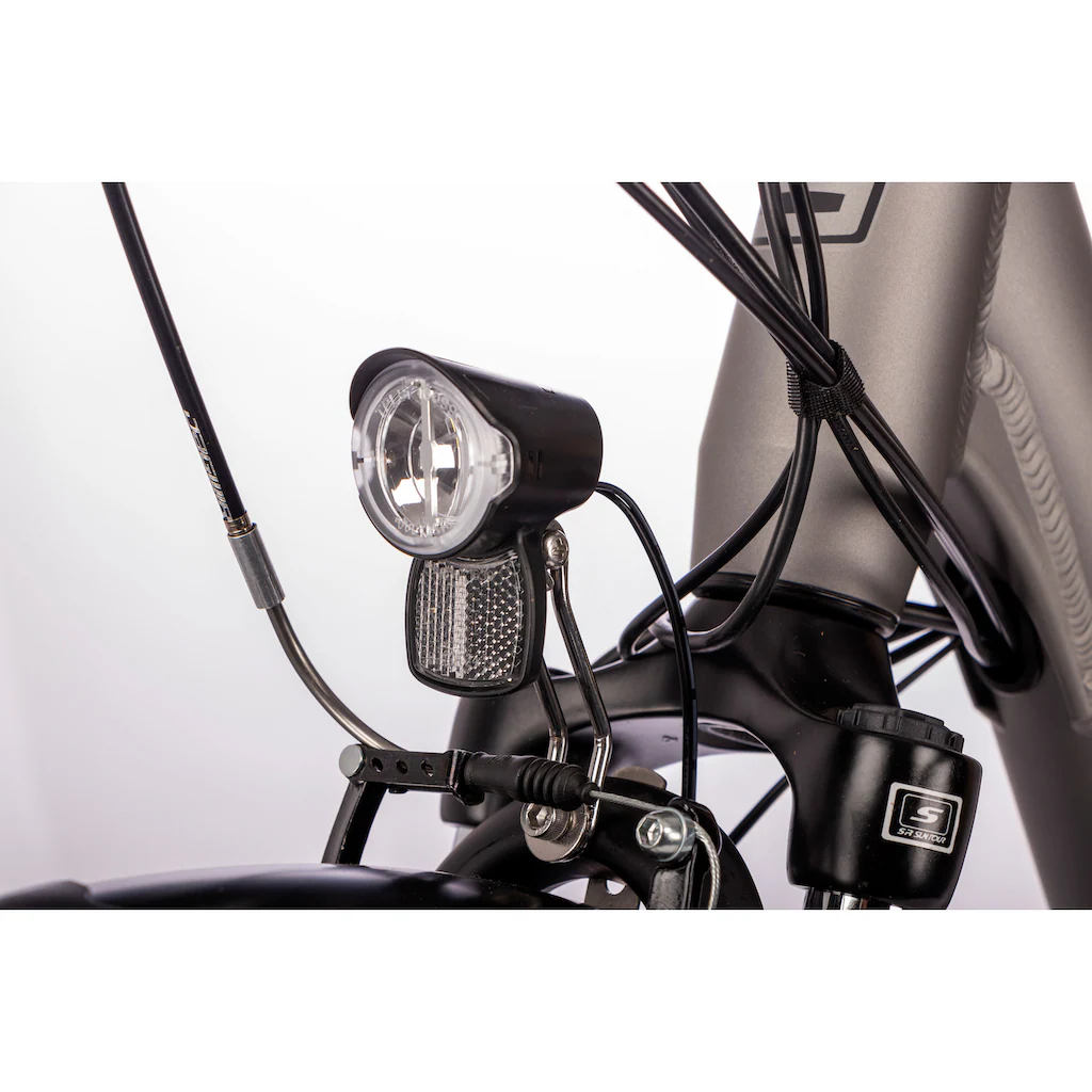 SAXONETTE E-Bike »Advanced Plus« 3 Gang Shimano SHIMANO Nexus Frontmotor 250 W (mit Akku-Ladegerät u. integr. Rahmenschloss) Pedelec Elektrofahrrad für Damen u. Herren Cityrad Fabrikpreis