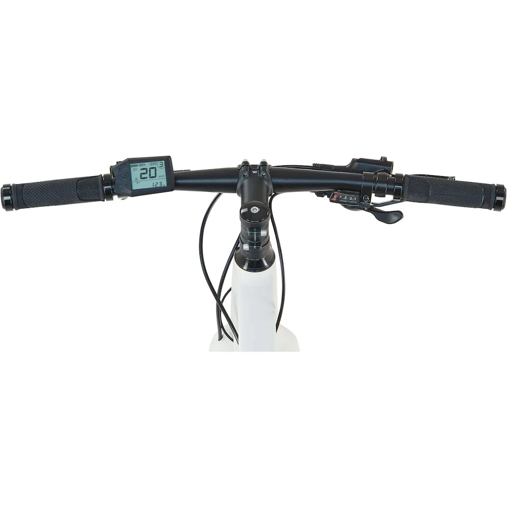 Prophete E-Bike »Urbanicer 2.0« 9 Gang Shimano Alivio Heckmotor 250 W Pedelec Elektrofahrrad für Damen u. Herren Urbanbike Flash Sale