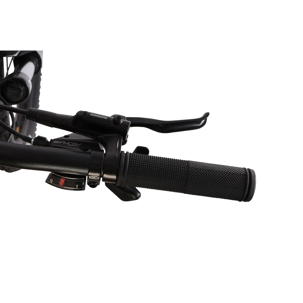 Maxtron E-Bike »MT 15X« 9 Gang Shimano Alivio Mittelmotor 250 W Pedelec Elektrofahrrad für Damen u. Herren MTB Mountainbike Saisonschlussverkauf