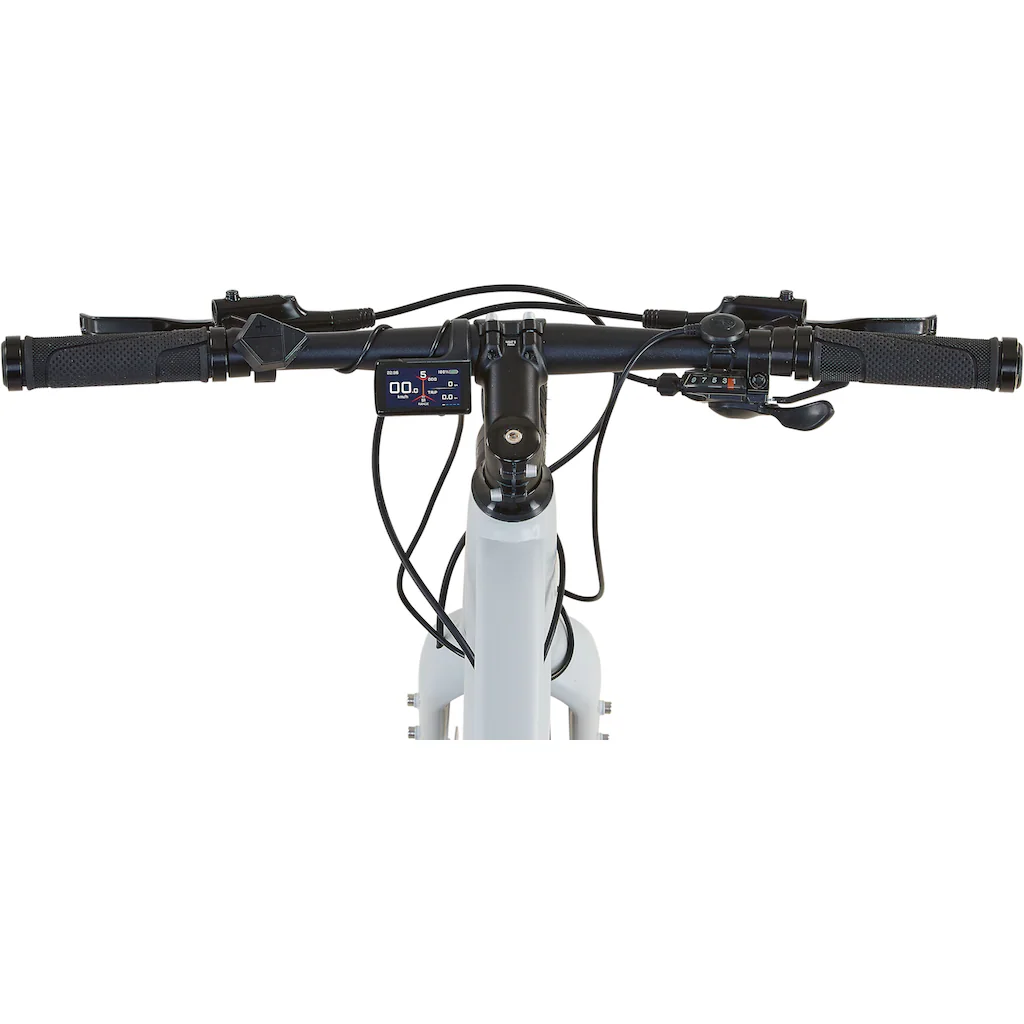 Prophete E-Bike »Urbanicer 2.9« 9 Gang Shimano Alivio Heckmotor 250 W Pedelec Elektrofahrrad für Herren Urbanbike Kauf eins, bekomm eins gratis
