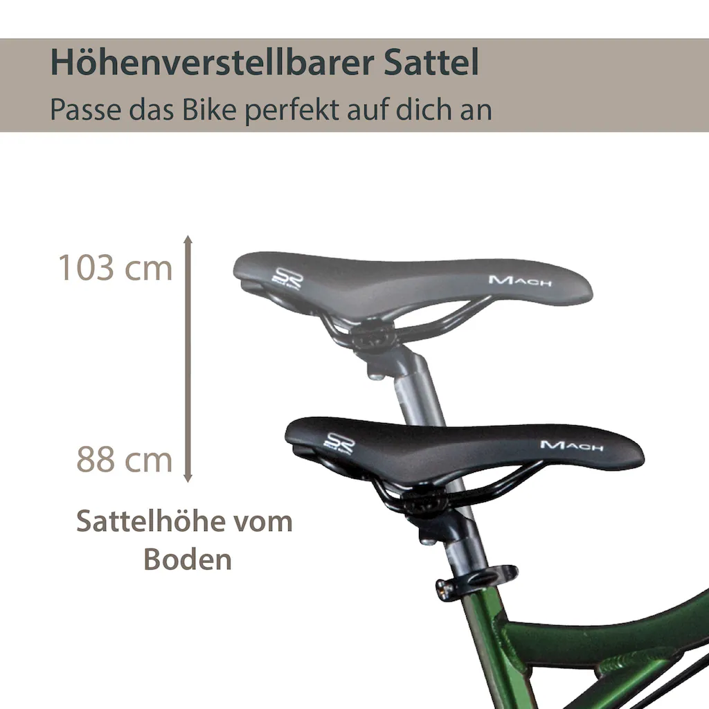 AGON E-Bike »Alpha« 24 Gang Heckmotor 250 W Pedelec Elektrofahrrad für Damen u. Herren MTB Mountainbike auf Rechnung Letzte 2 Tage