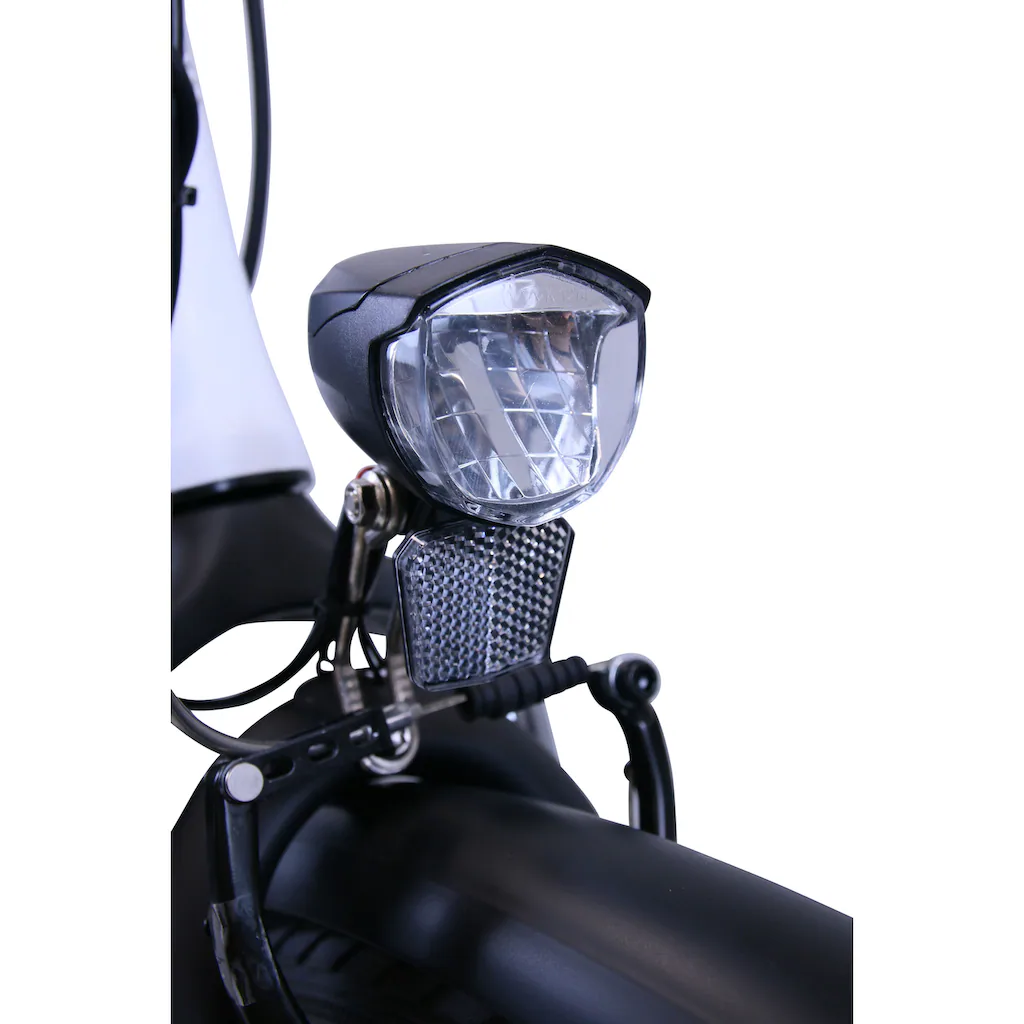 HAWK Bikes E-Bike »eCity Wave« 7 Gang Shimano Nexus 7-Gang Frontmotor 250 W Pedelec Elektrofahrrad für Damen u. Herren Cityrad auf Rechnung online kaufen Nur für heute