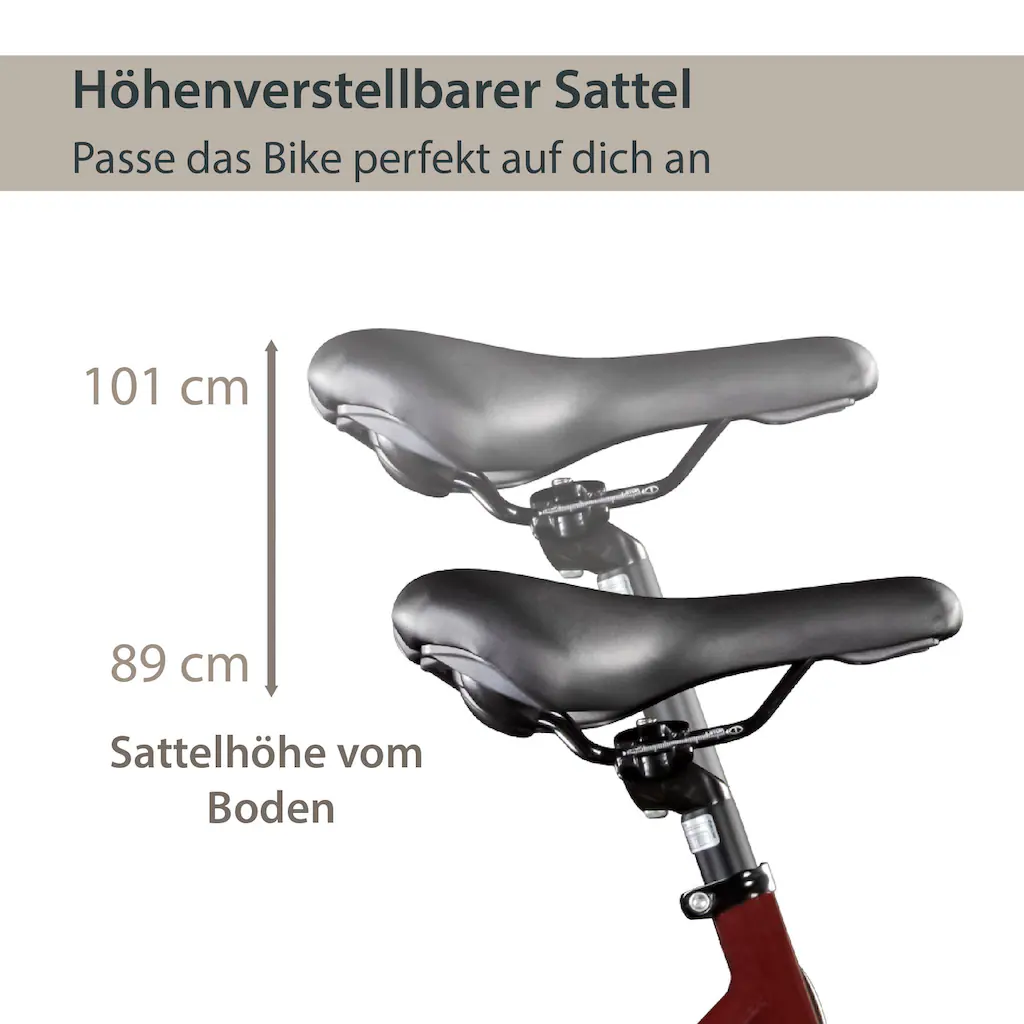 AGON E-Bike »Avesa« 21 Gang Heckmotor 250 W Pedelec Elektrofahrrad für Damen u. Herren Trekkingrad auf Rechnung Riesige Rabatte