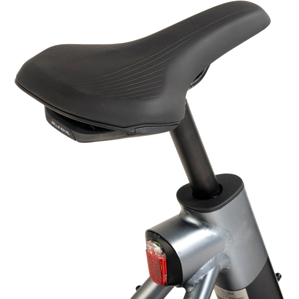 VOGUE BIKE E-Bike »C4« 7 Gang Shimano Tourney Heckmotor 250 W Pedelec Elektrofahrrad für Damen u. Herren Cityrad auf Rechnung Im Verkauf