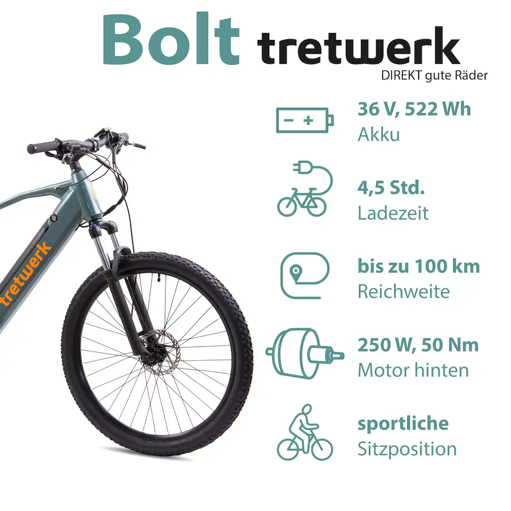 Tretwerk E-Bike »Bolt« Shimano Heckmotor 250 W Pedelec Elektrofahrrad für Damen u. Herren MTB Mountainbike Günstig kaufen