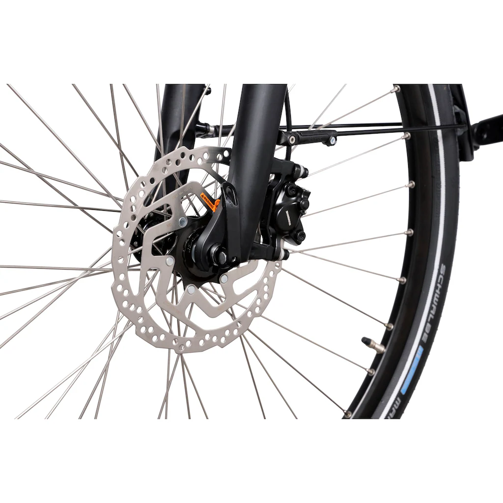 HAWK Bikes E-Bike »eCity Wave 400« 8 Gang Shimano Pedelec Elektrofahrrad für Damen u. Herren Cityrad auf Rechnung online kaufen Große Rabatte