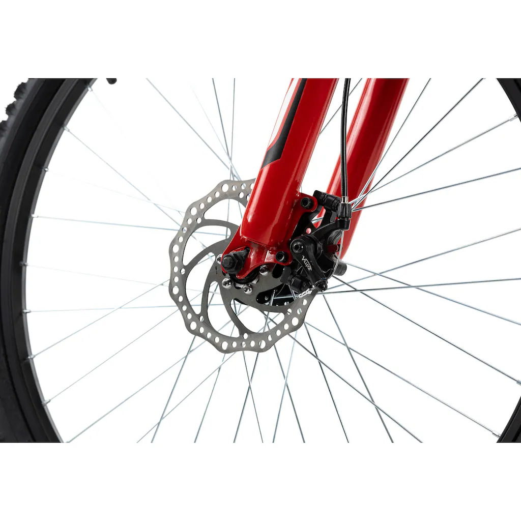 KS Cycling Mountainbike »Xtinct« 21 Gang Shimano Tourney Schaltwerk Kettenschaltung für Herren Kettenschaltung auf Rechnung bestellen Clearance-Verkauf