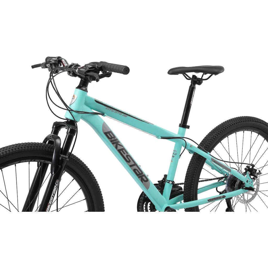 Bikestar Mountainbike 21 Gang Shimano RD-TY300 Schaltwerk Kettenschaltung für Damen und Herren Kettenschaltung auf Rechnung bestellen Saisonschlussverkauf