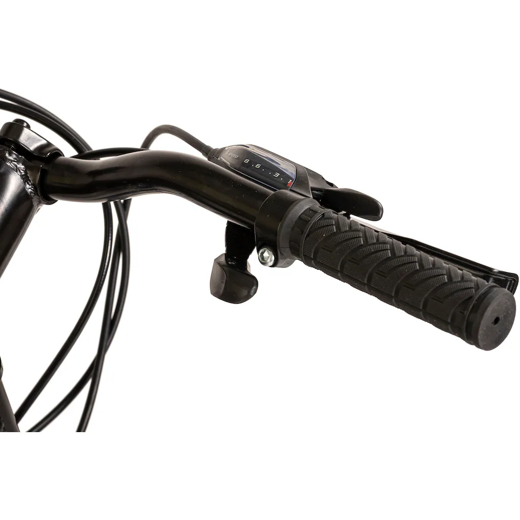 WYLD Mountainbike »Heist« 24 Gang Kettenschaltung Zeitlich begrenztes Angebot