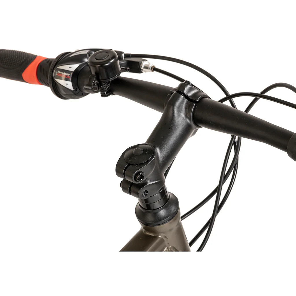 WYLD Mountainbike »Sharp« 21 Gang Kettenschaltung Exklusive Angebote