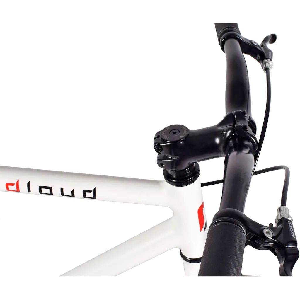 REDLOUD Singlespeed »FA.01 (Fixie)« 1 Gang auf Rechnung kaufen Letzter Tag