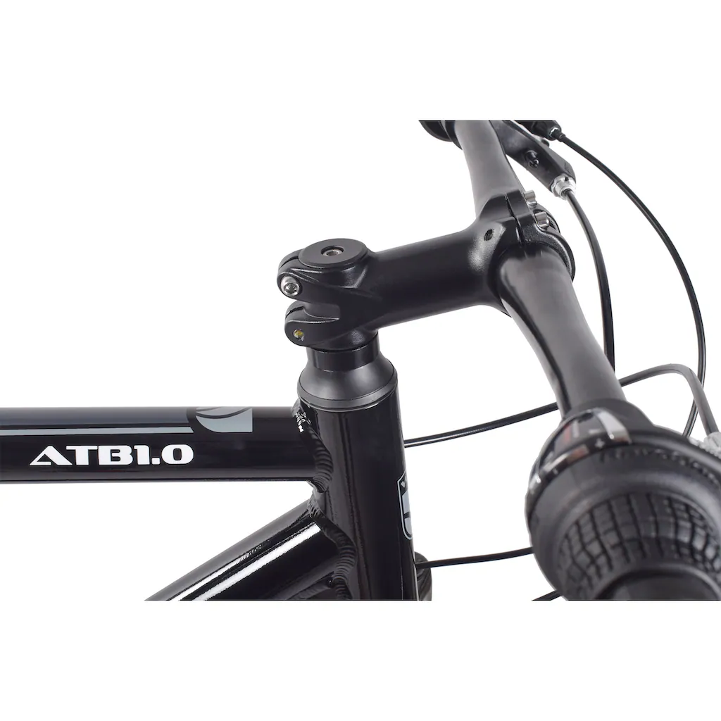 WYNN Mountainbike »ATB1.0« 21 Gang Shimano SHIMANO Tourney RD-TY300 Schaltwerk Kettenschaltung auf Rechnung Kostenloser Versand international