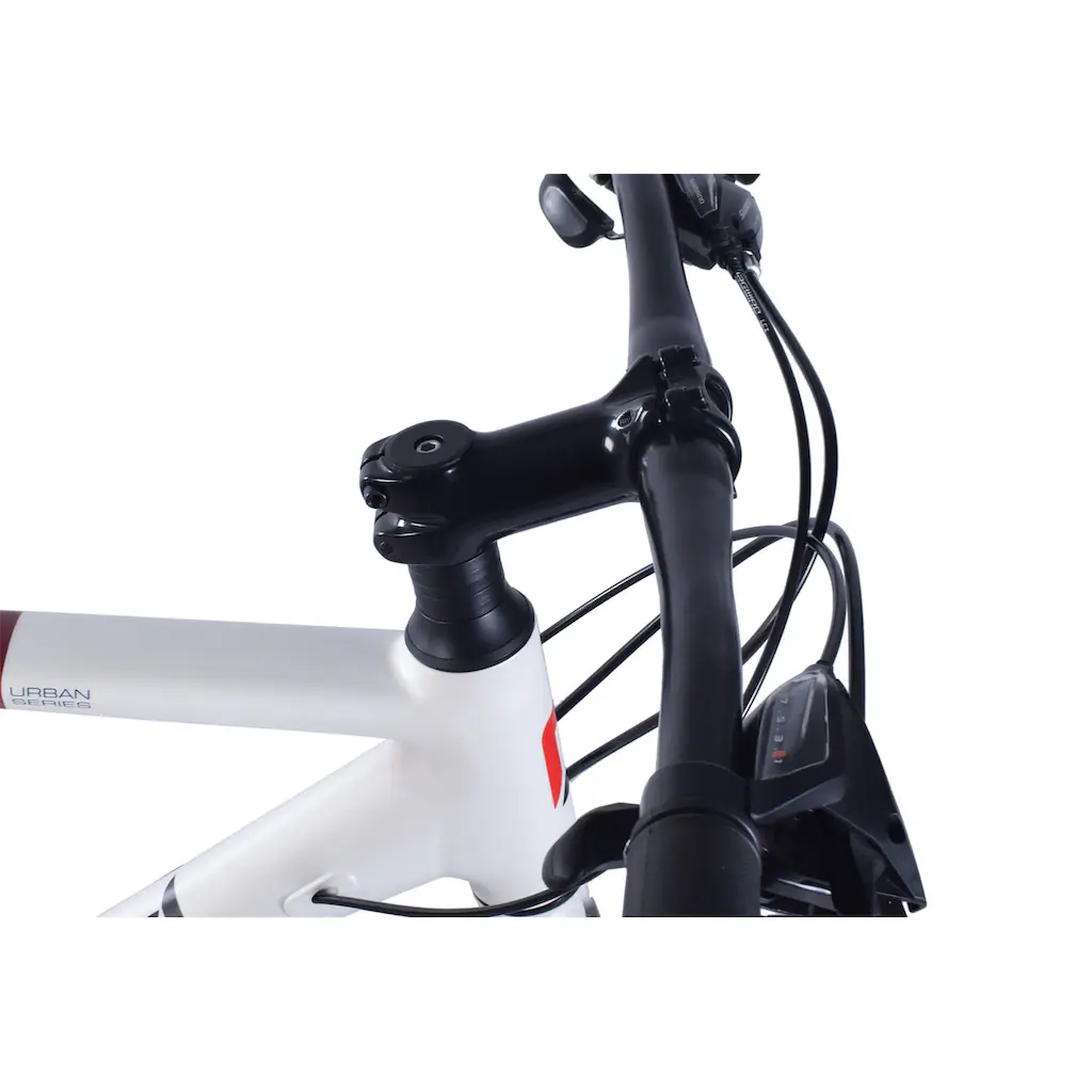 REDLOUD Cityrad »UA.01« 21 Gang Shimano Shimano Altus Schaltwerk Kettenschaltung Exklusivangebot