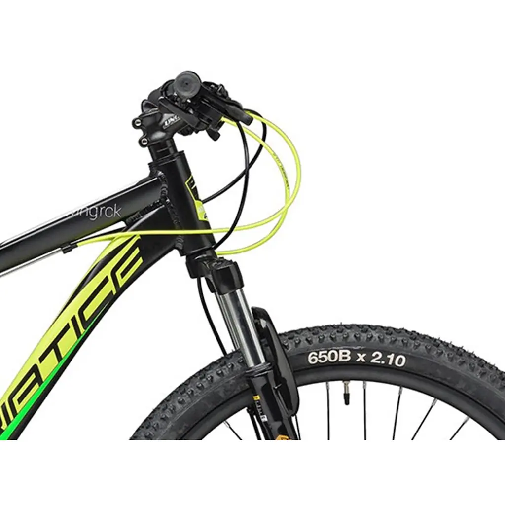 Adriatica Mountainbike »RC-K« 21 Gang Shimano TY500 Schaltwerk Kettenschaltung für Herren Kettenschaltung auf Rechnung Bis zu 65% Rabatt